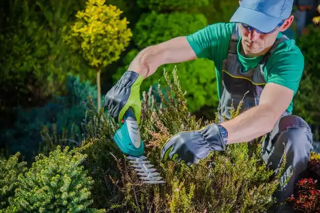 landscaping services Liberty
